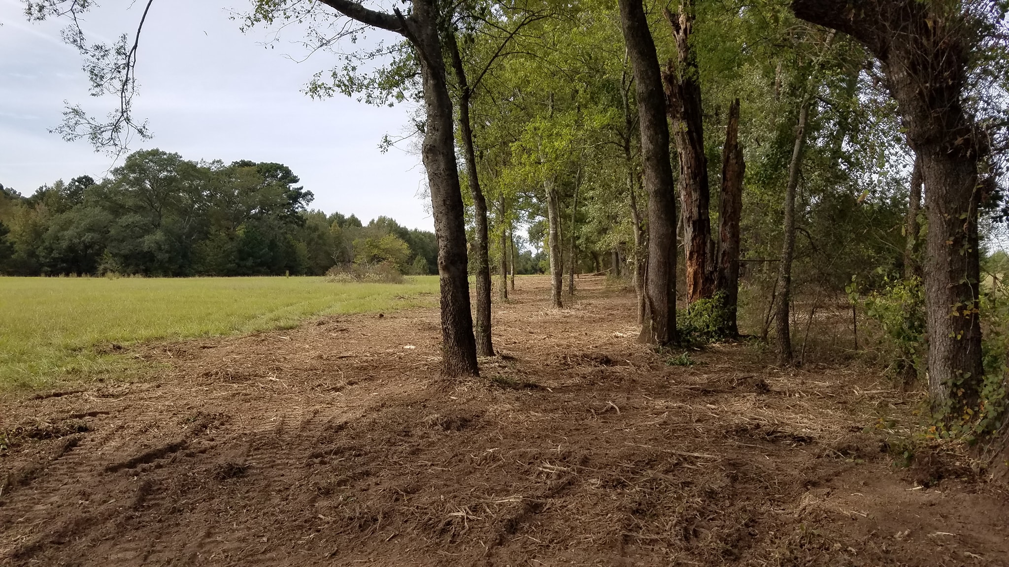 Clearview Land Management Land Clearing in East Texas and Surrounding