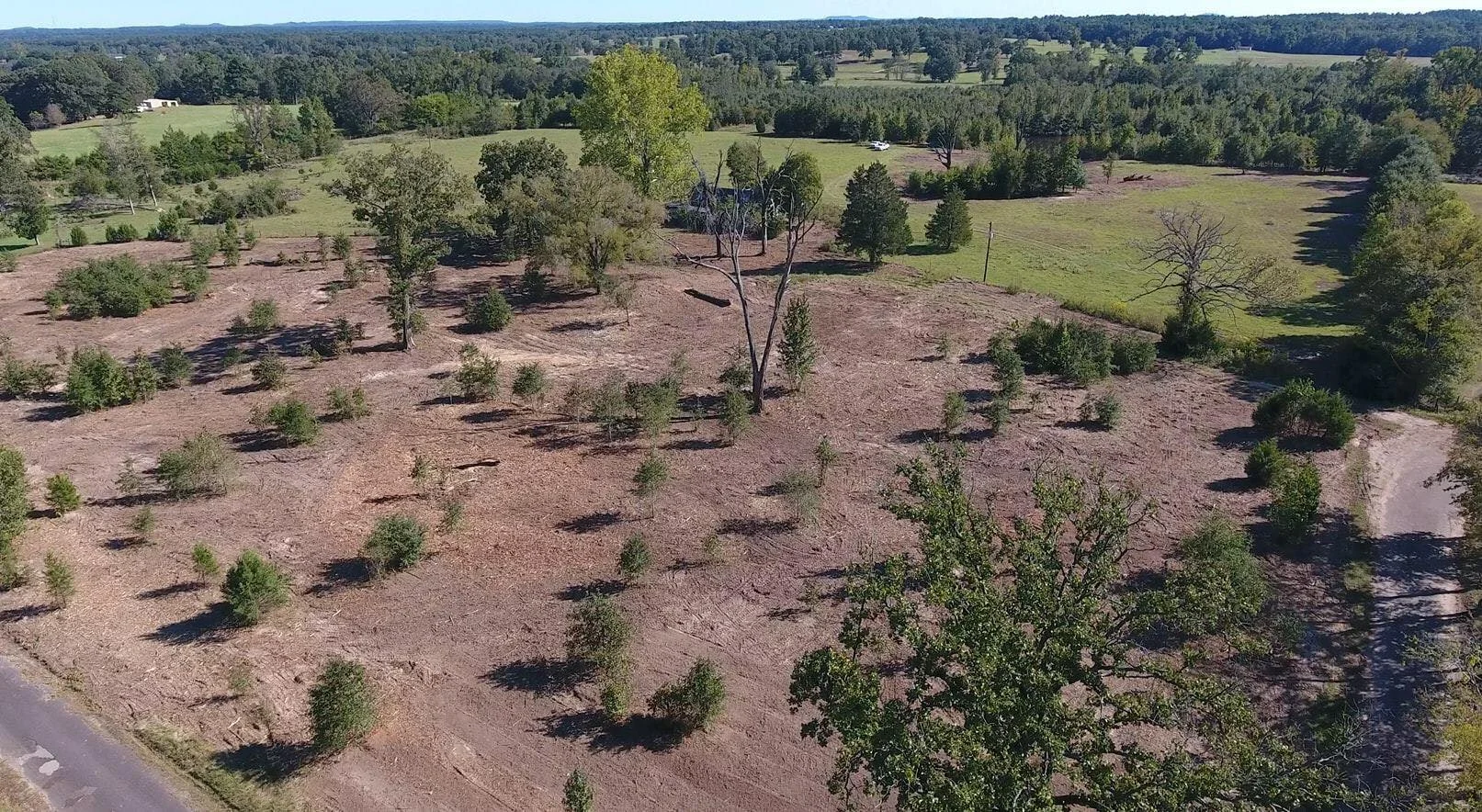 Clearview Land Management - East Texas Land Clearing