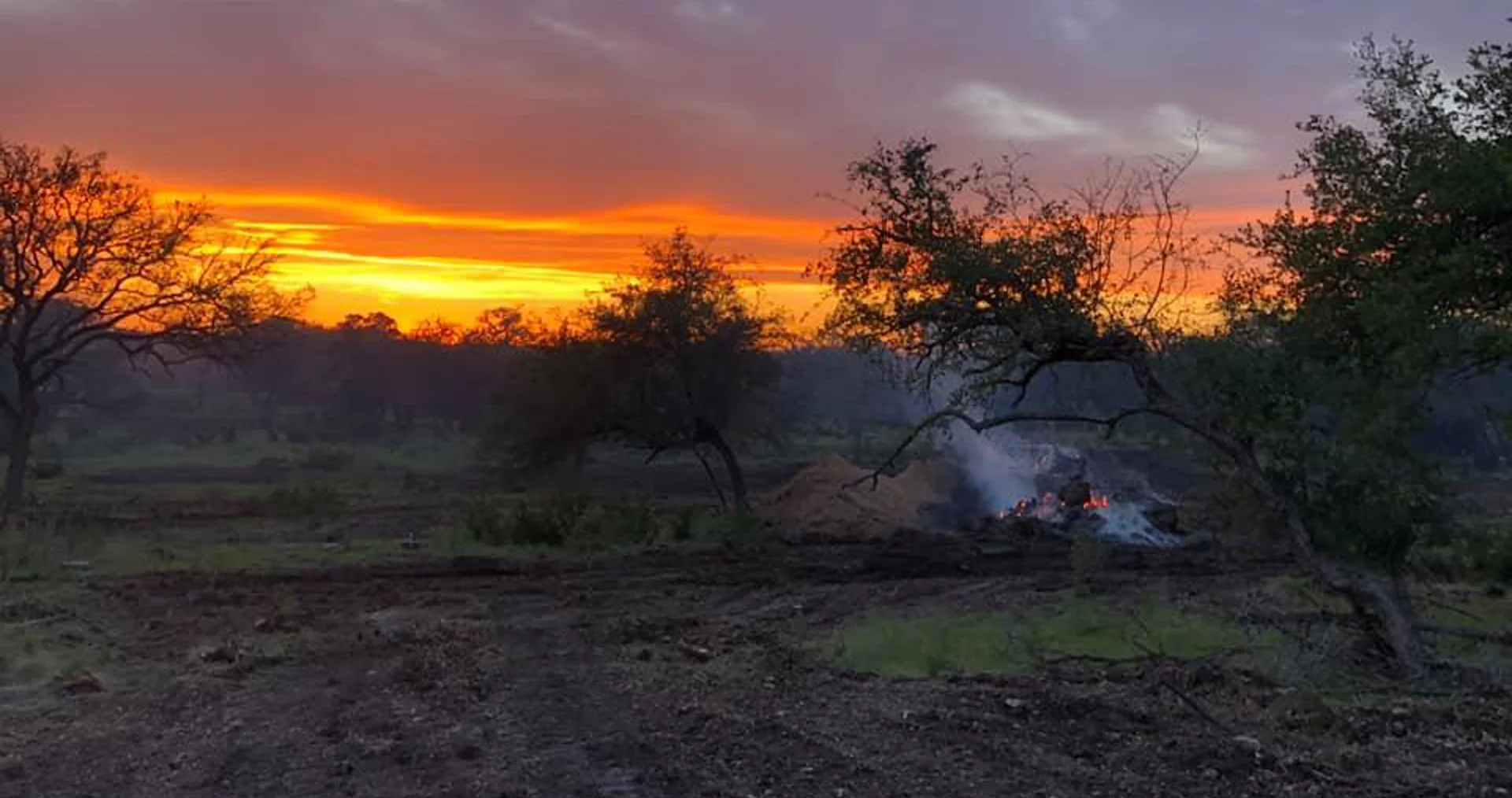 Clearview Land Management - East Texas Land Clearing